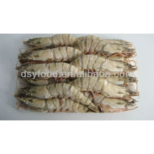 Whole Round Tiger Shrimp